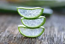 Aloe vera: your all-in-one beauty and wellness solution
