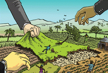 Cow-grazing lands snatched by encroachment elements: PIL filed in Gujarat HC