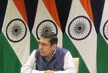 MEA summons German Ambassador to send Baby Ariha to India at the earliest