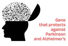 Study finds gene that protects against Alzheimer’s & Parkinson’s