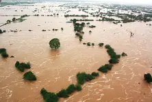 After backlash from Cong & AAP, Gujarat govt unveils relief package for flood-hit farmers