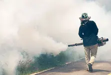 Dengue outbreak in Gujarat, cases surge by four times in one and a half months