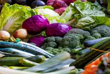 On World Food Day, leaders call to transform food systems