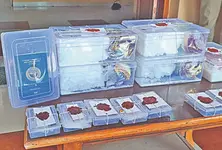 Drugs worth ₹4.26 cr seized in Banaskantha, foreign national arrested