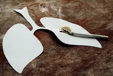 Global study reveals devastating impact of tobacco in India