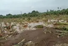 Gujarat’s Climate Paradox: Unseasonal rains and agricultural turmoil