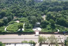 Dumping site transformed into Miyawaki forest  in Gandhinagar