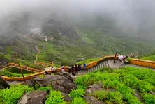 Girnar’s ‘Lili’ Parikrama not green enough as tourists litter on route