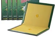 Rajasthan bans cruel glue traps for rodent control