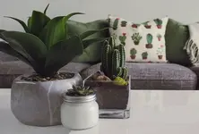 Green homes for the future of sustainable living