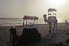 Gujarat’s coastline is eroding faster than any other part of the country