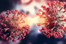 Study decodes COVID-19 risk with proximity, duration of exposure to infected person