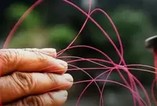 Uttarayan turns fatal for six in Gujarat, several injured