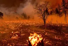 Climate change may claim 14.5 mn lives by 2050, says WEF