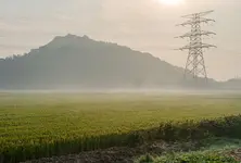 State’s electricity requirement peaks; no relief for farmers suffering shortages