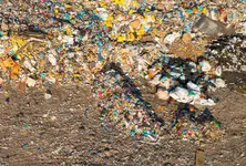 Microplastics present in human blood, saliva, lungs: MoEFCC Report