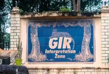 Gujarat govt allocates ₹277 cr for lion conservation in Gir region