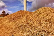 Cooking with biomass fuel in Northeast may pose alarming health risks: IIT-Mandi study
