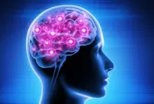 Protein linked to Parkinson’s also key for normal brain work: IIT Mandi study