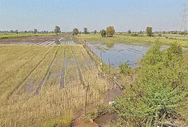 51.68 lakh hectares of cultivable land devoid of irrigation by the State