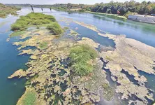 Guj HC raps AMC over inadmissible affidavit for Sabarmati pollution