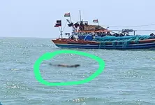 One dead after fishing boat collides with Pakistani vessel off Dwarka coast