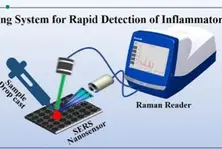 New nanosensor to check body’s inflammatory level, diagnose disease in 30 minutes