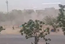 Gusty winds, unseasonal rainfall hit Gujarat