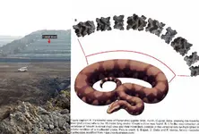 IIT Roorkee team finds giant ancient snake fossil in Kutch