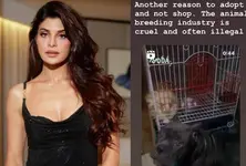 Jacqueliene urges fans to adopt and not shop: Animal breeding industry is cruel