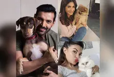 Pet parents Raveena, John Abraham, others share wisdom on a ‘pawrfect’ summer