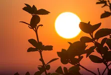 Severe temperatures forecast for polling day in Gujarat