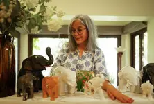 Zeenat Aman urges industry colleagues to avoid bringing wild animals to sets ‘at all costs’