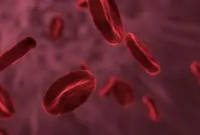 Why is India the thalassemia capital of the world?