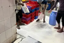 Are you not drinking glucose or urea in milk? Adulterated milk worth ₹2.38 cr seized in 10 months