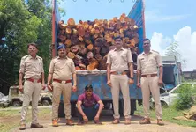 Forest dept busts illegal wood trafficking in Gujarat