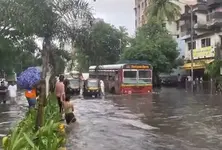 Heavy rain brings Mumbai to halt, road & rail traffic hit, schools shut