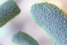 Vector control, hygiene & awareness key to control Chandipura virus: Experts