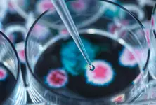 Child at Jamnagar hospital tests positive for Chandipura virus after his death