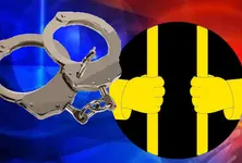 Ahmedabad man kills wife over excess salt in food