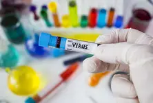 Chandipura virus: Gujarat witnesses 37 positive cases, 3 deaths