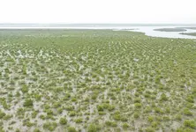 Another land scam in Gujarat? 50 families seek justice in Gandhinagar