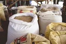 Surat BJP leader among 8 booked for PDS grain theft