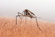 Vadodara, Surat, A’bad among cities battling dengue outbreak nationwide