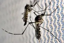 India begins Phase 3 clinical trial with 1st indigenous dengue vaccine