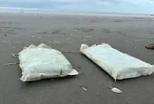 Navy, BSF discover 20 kg drugs near Kutch’s Koteshwar