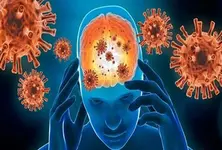 No new cases of Chandipura virus reported for six days: Guj Health Minister