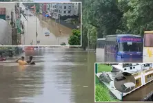 Vadodara floodwaters recede, suffering prevails
