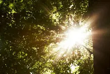 “Sunlight on Demand”: A new technology to bring Sunlight at night