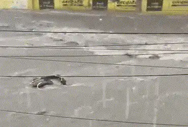 Bharuch’s Valia taluka records maximum rainfall